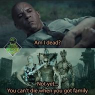 Vin Diesel family memes